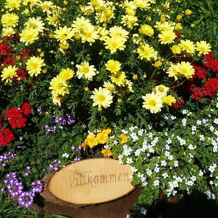 Mascherhof Διαμέρισμα