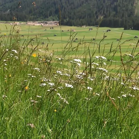 Mascherhof